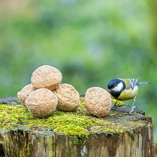 CJ Wildlife – Energierijke vetbollen voor vogels
