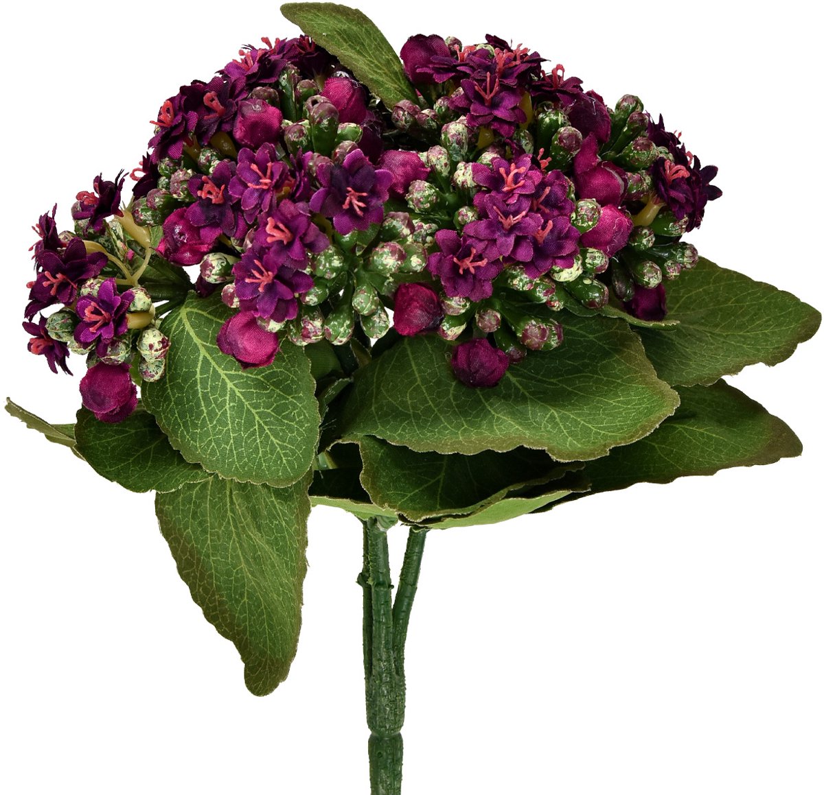 Viana Flaming Käthchen Kalanchoë kunstpaars 24cm