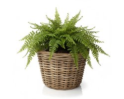 VD Leeden Plantenmand Klassiek - rond - bruin - 29 x 20 cm - rotan - gevlochten riet - bloempot