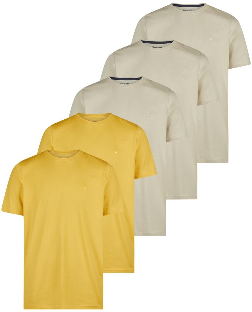 Redmond Heren t-shirt 5 pack Basic