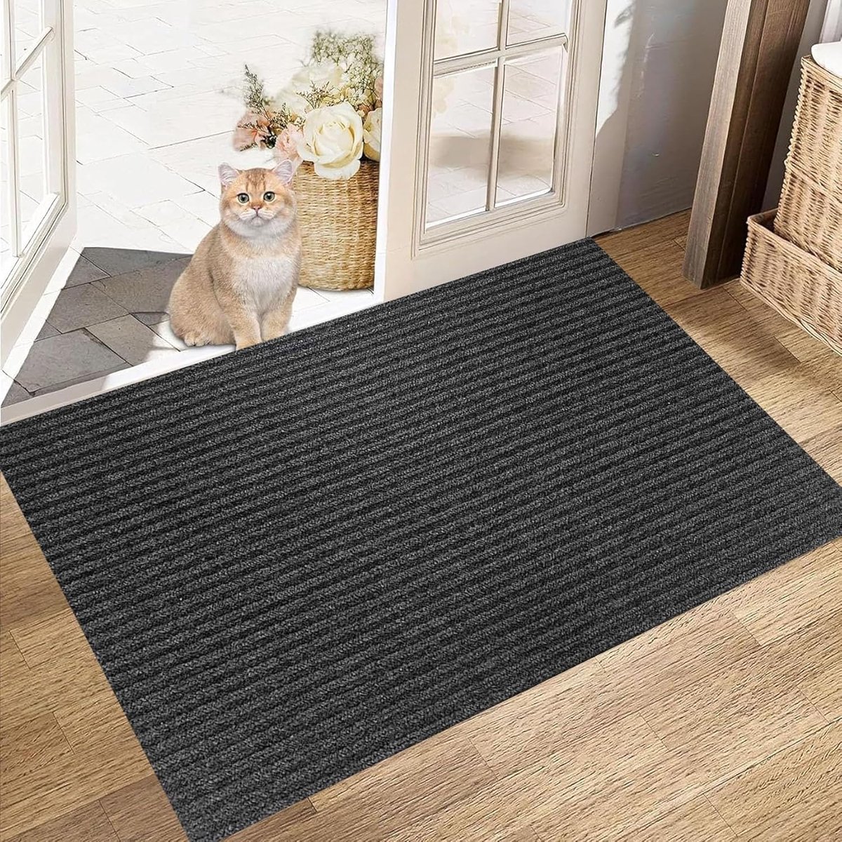 Binnendeurmat - Vloermat entree - Voorkomt vuil - Sterke antislip basis - 60 x 90 cm - Zwa