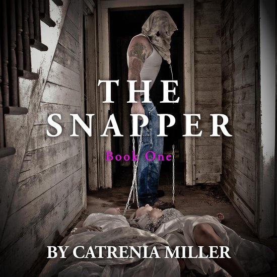 The Snapper - cover