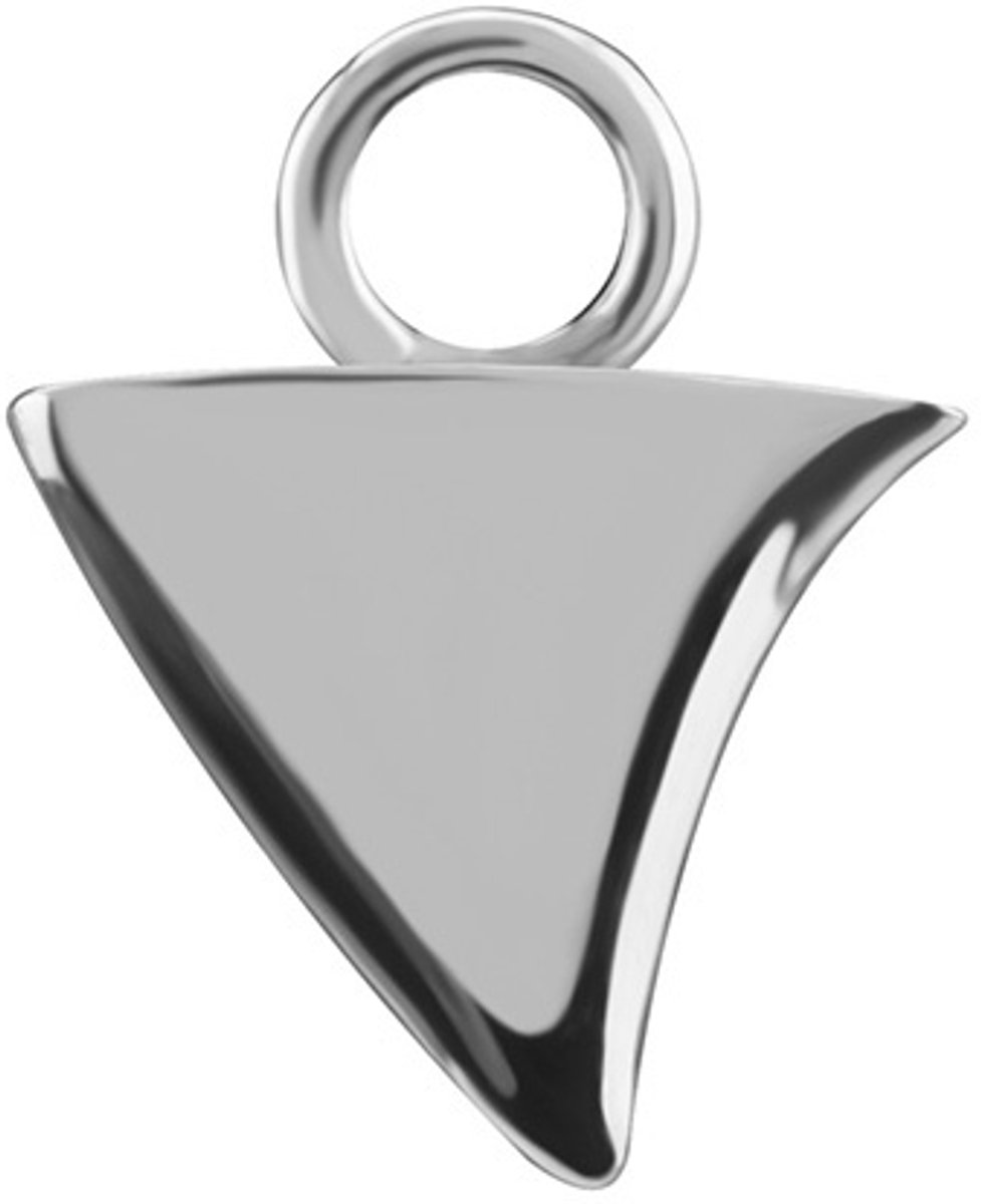 Crazy Needles Serie - CoCr Driehoekige Hanger - Zilver - D-082