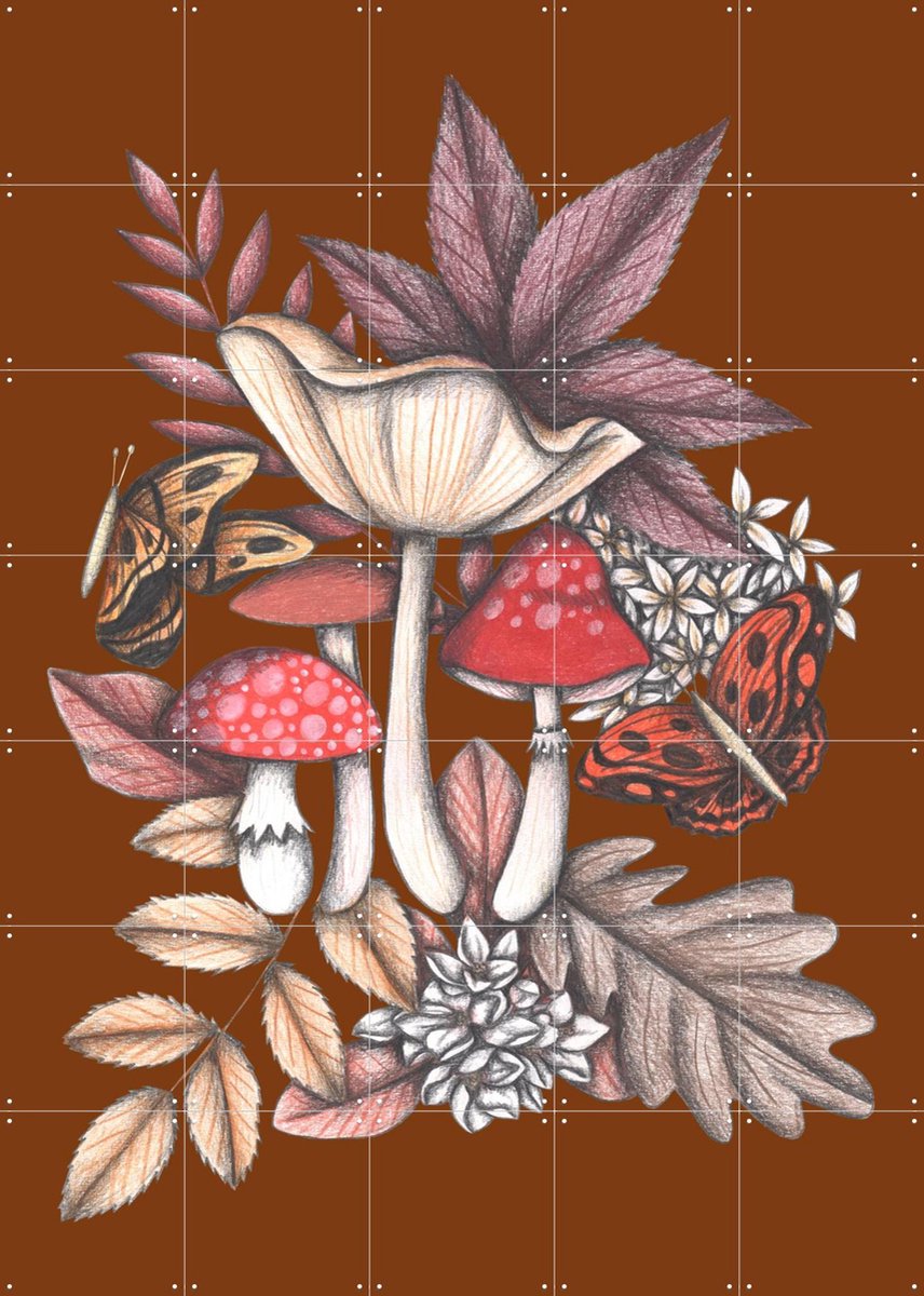 IXXI Mushrooms Magic 3, Cecilia Battaini - 100 x 140 cm - Gratis ophangtool - Grote wanddecoratie en posters - Speels, Kleurrijk, Illustraties