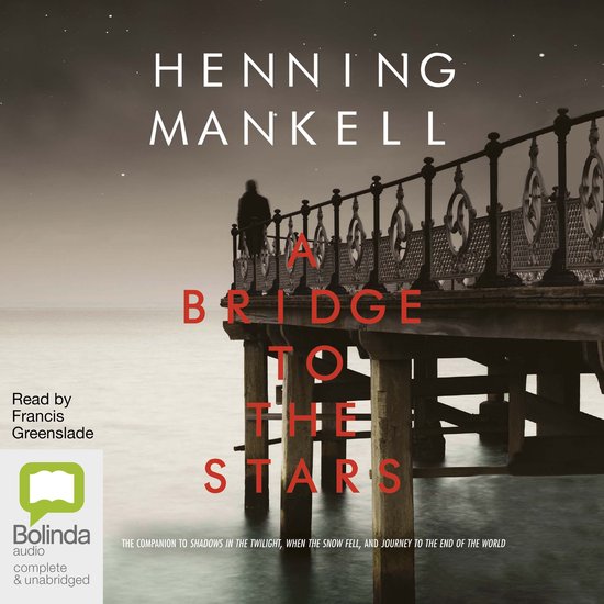 A Bridge to the Stars - cover