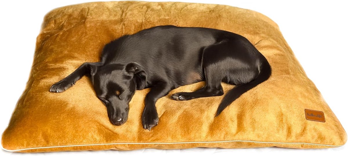 Huisdierkussen Waterdicht - Honden en Kattenmand - Comfortabel Rusten - Afneembare Wasbare Hoes - 100x100 cm XL - Geel