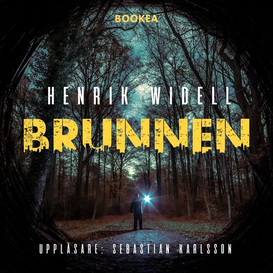 Brunnen - cover