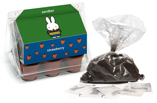 Nijntje educatief speelgoed minikas aardbei kweekset voor kinderen.