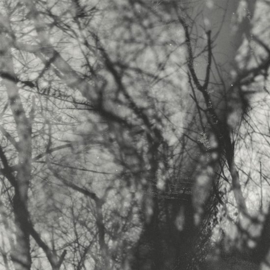 Grouper - Way Their Crept (CD)