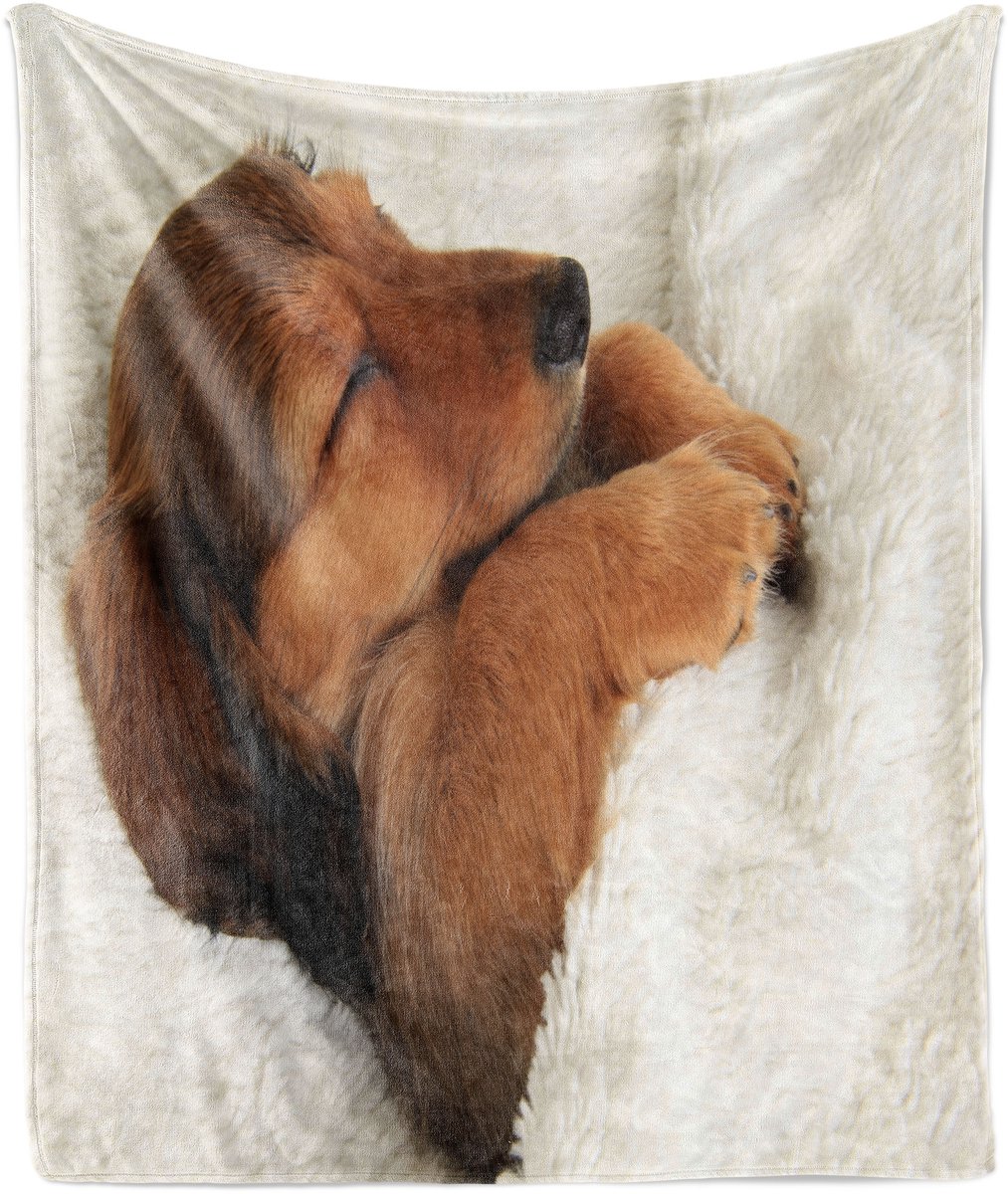 New Bed Teckel Puppy slapend in zijn bedje Zachte Flanellen Fleece Deken, 230 cm x 175 cm