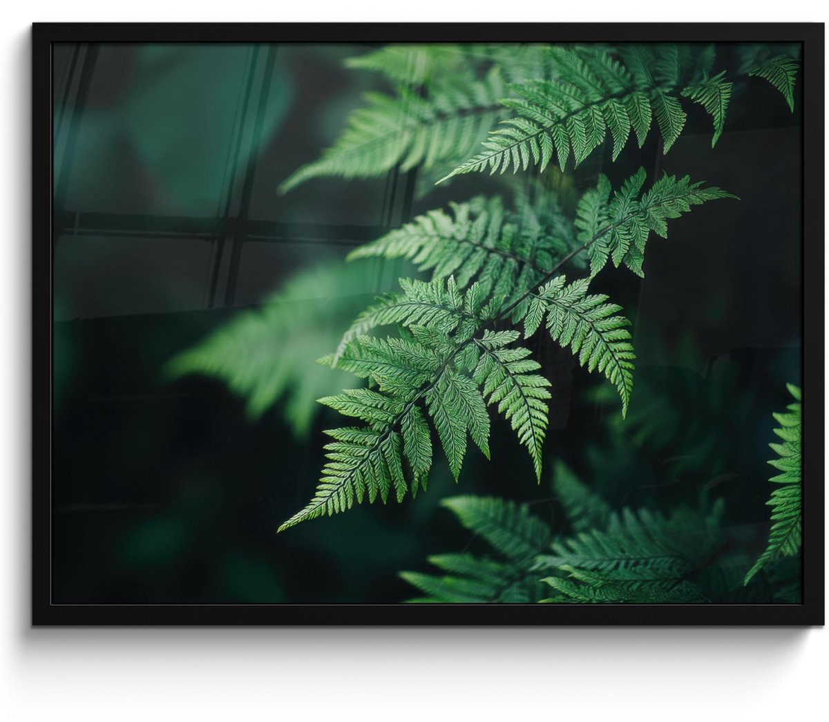 FrameYourWall Poster in lijst - Fotolijst 70x50 cm - Posters - Varenblad - Groen - Structuur - Wazig - Posterlijst zwart - Decoratie - Wanddecoratie woonkamer - Muurdecoratie slaapkamer