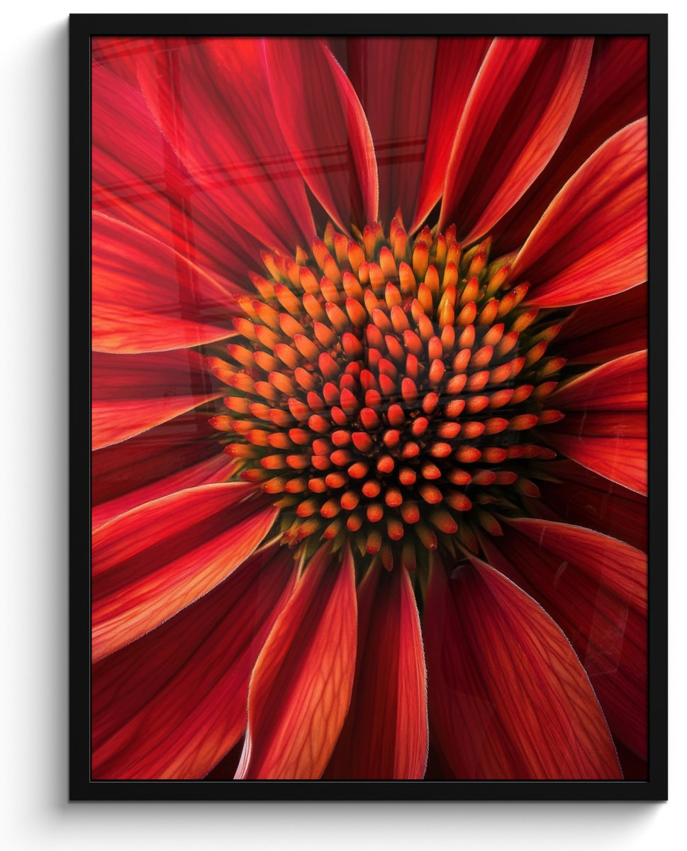 FrameYourWall Poster in lijst - Fotolijst 50x70 cm - Posters - Close up - Bloem- Rood - Posterlijst zwart - Decoratie - Wanddecoratie woonkamer - Muurdecoratie slaapkamer