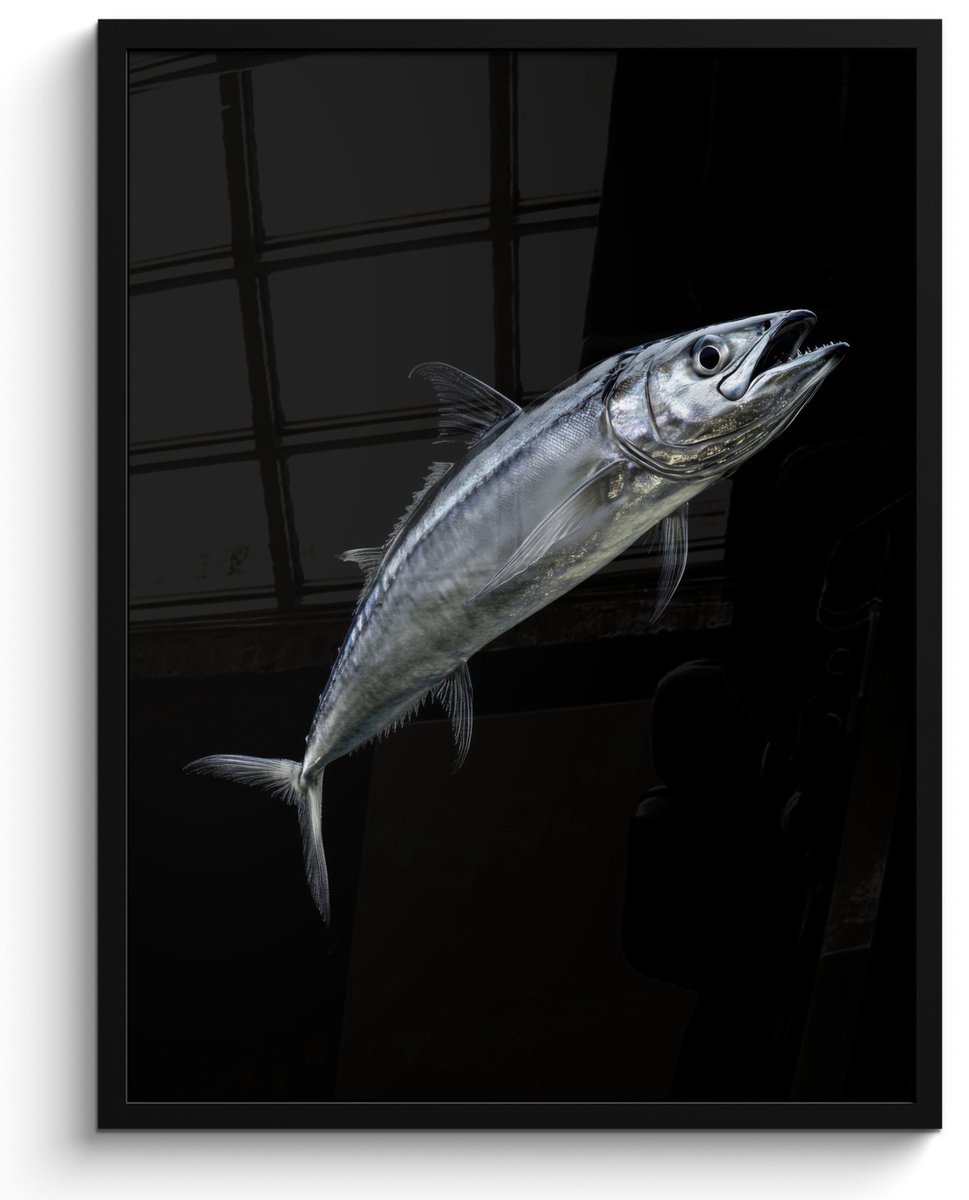FrameYourWall Poster in lijst - Fotolijst 50x70 cm - Posters - Makreel - Vis - Zwart - Posterlijst zwart - Decoratie - Wanddecoratie woonkamer - Muurdecoratie slaapkamer