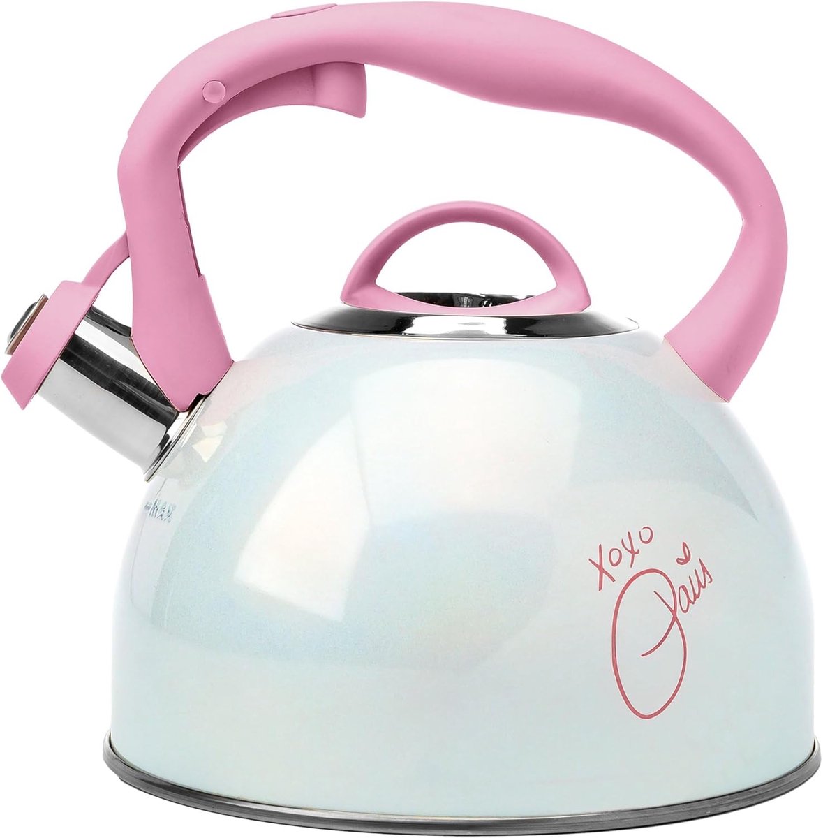 Grote RVS Theepot 2 Liter met Cool Touch Handvat en Fluitdeksel, Snelwarmend