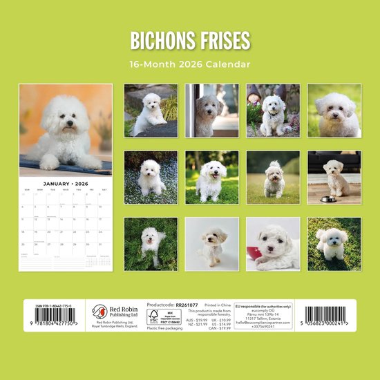 Calendrier Bichon Frisé 2026