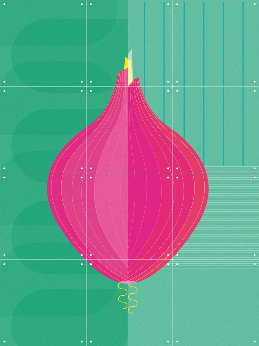IXXI Onion, Jetske Kox - 60 x 80 cm - Gratis ophangtool - Grote wanddecoratie en posters - Geometrische Kunst, Minimalisme, Kleurrijk, Digitale Kunst