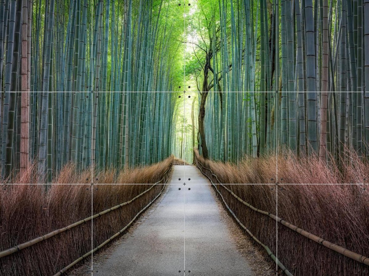 IXXI Arashiyama bamboo grove, Kyoto, Japan, Jan Becke - 80 x 60 cm - Gratis ophangtool - Grote wanddecoratie en posters - Fotografie, Naturalisme
