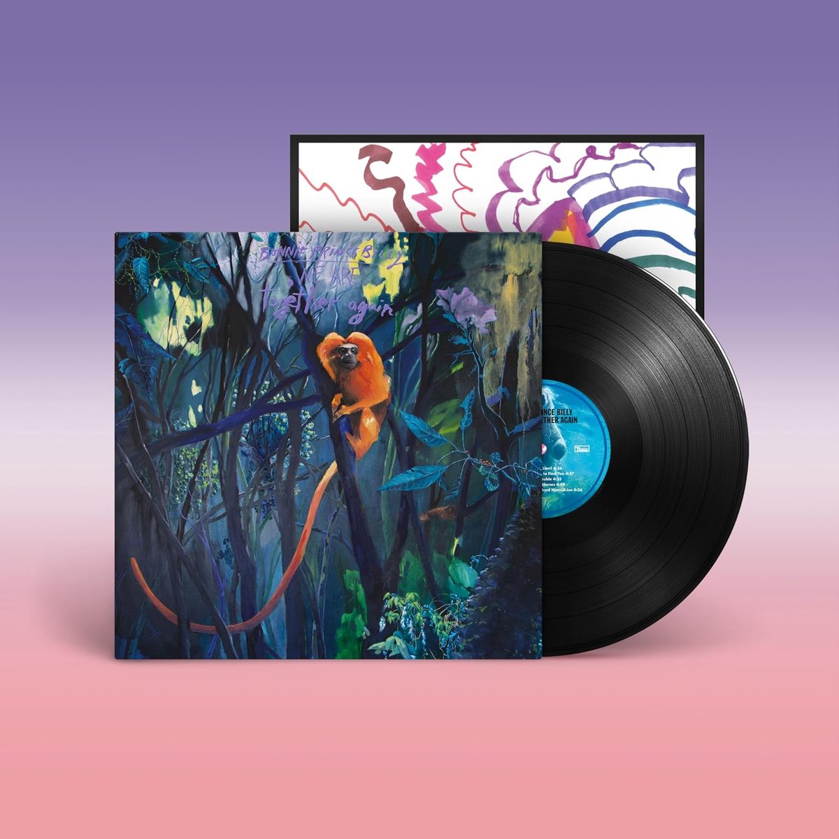 Muziekalbum - Nieuwe LP - Luisteren - Artistieke uiting - 31 cm