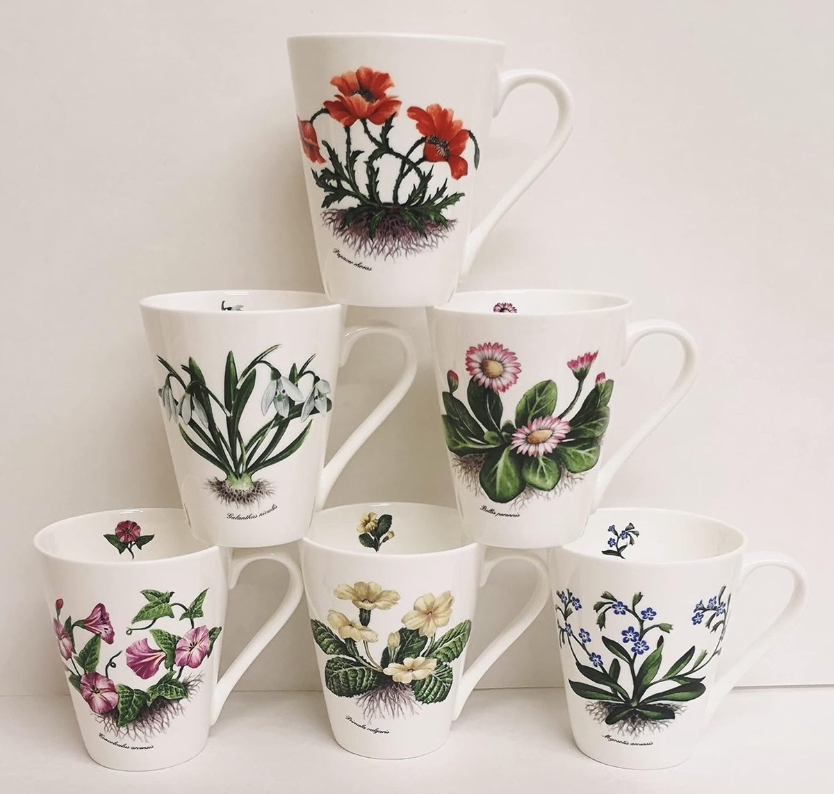 Botanische Mokken Set - Thee Koffie Koppen - Dagelijks Gebruik - Hand Versierd UK - 350 ml - Wit