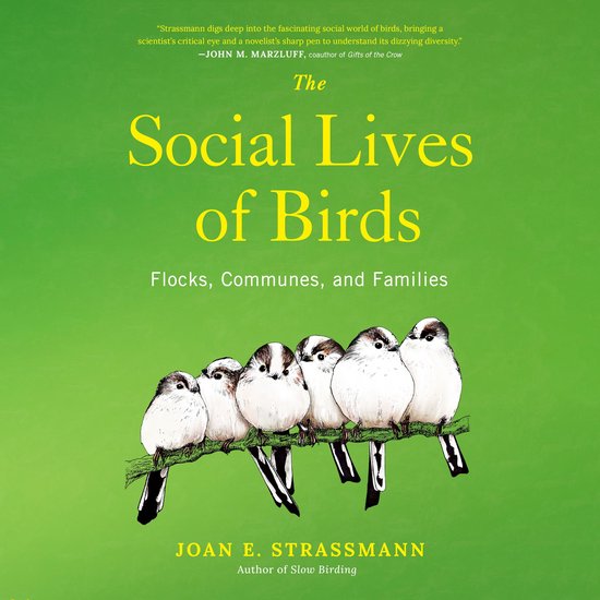 The Social Lives of Birds - cover