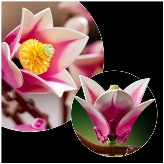 LEGO Botanicals Branches de Magnolia - 11510