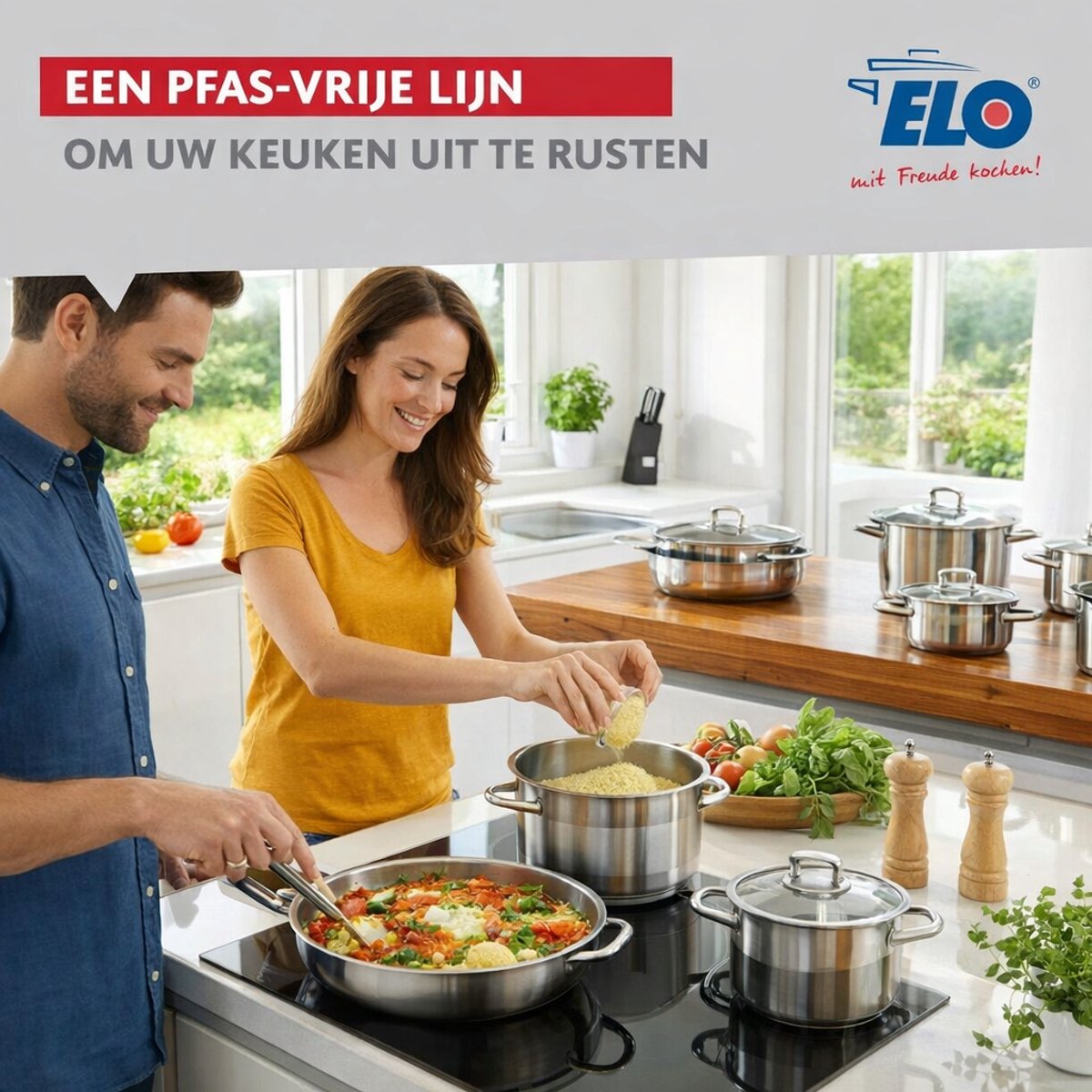 Set van 3 Koekenpannen 24, 28 en 32 cm en 1 braadpan 24 cm Elo Profi Brillant