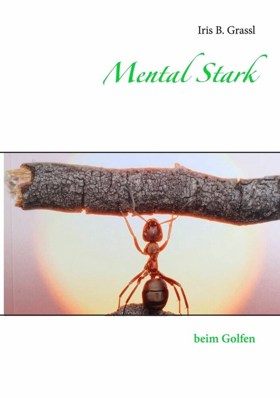 Mental Stark - cover