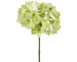 Viv! Home Luxuries Hortensia - zijden bloem - groen wit - 48cm