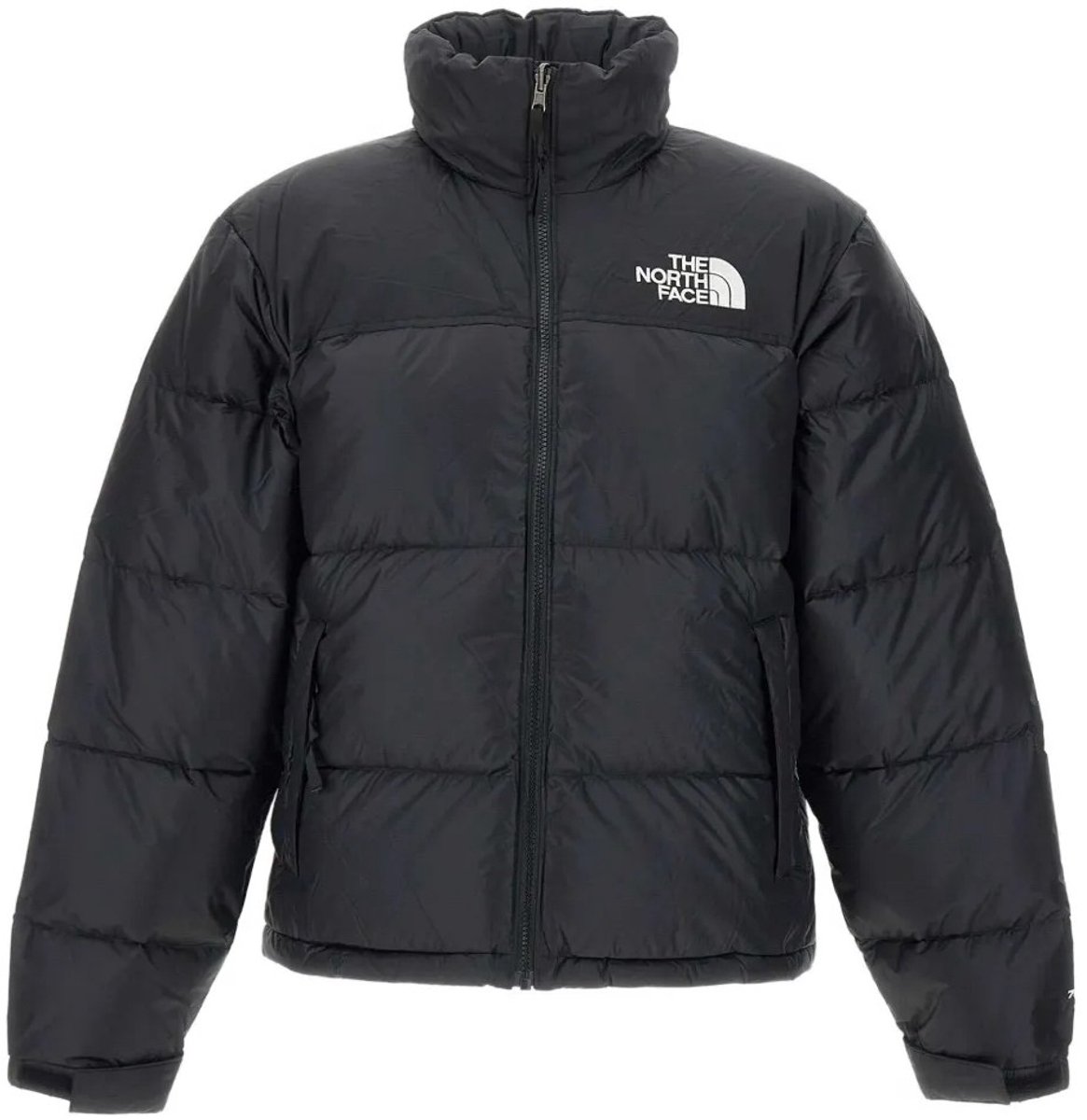 The North Face Heren Retro Nuptse Jas 1996 Veelkleurig
