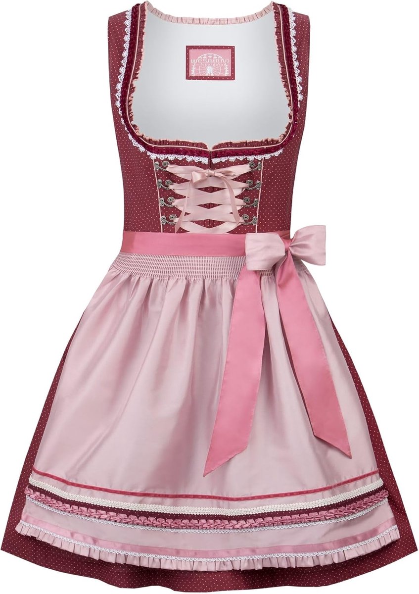 Elegante Dirndl Dames Jurk voor Speciale Gelegenheden