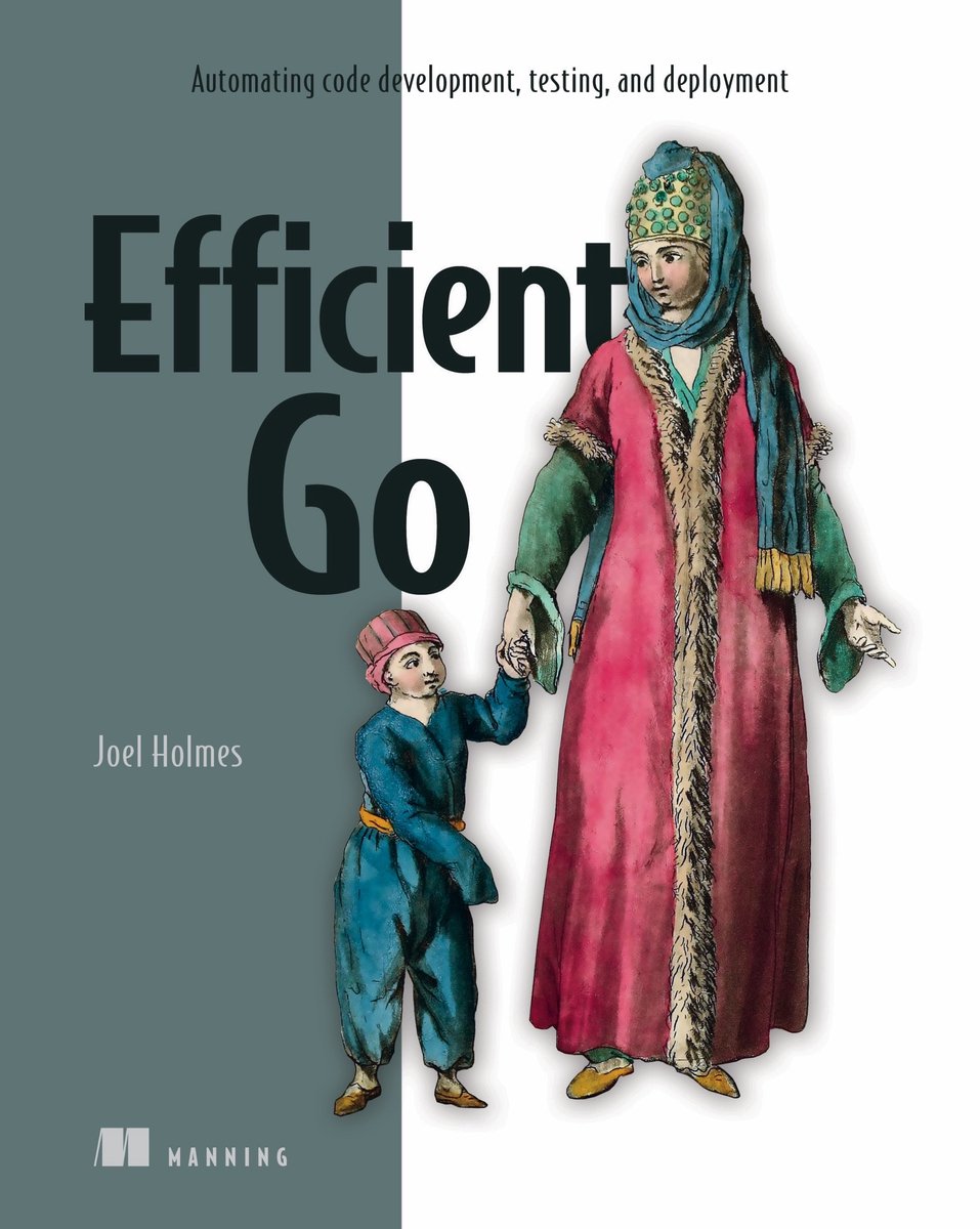 Omslag van Efficient Go