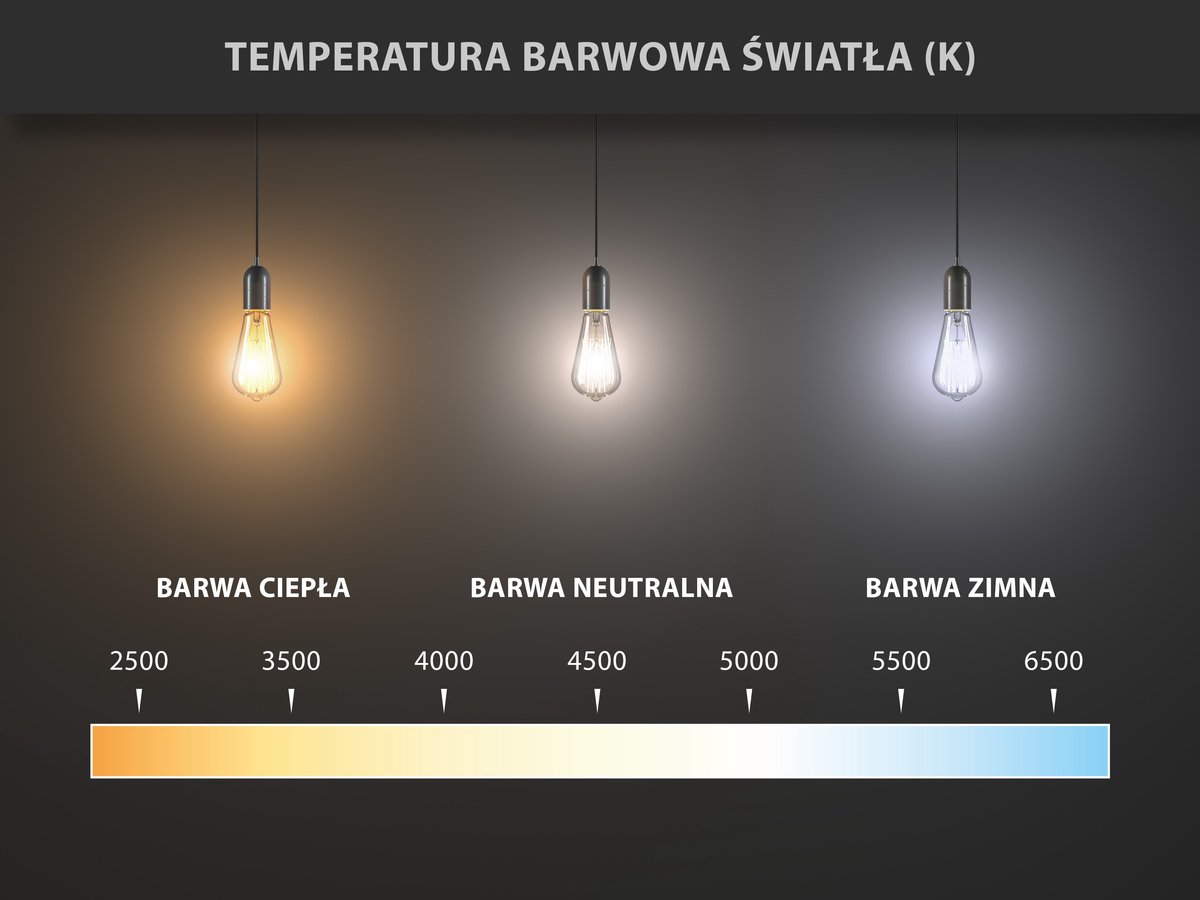 Mexen Vintis 10x LED-filament spiraallamp E27, G80, 6W, Warm - 2700K, 400 lm, smoke - L165-E27-0627-70x10