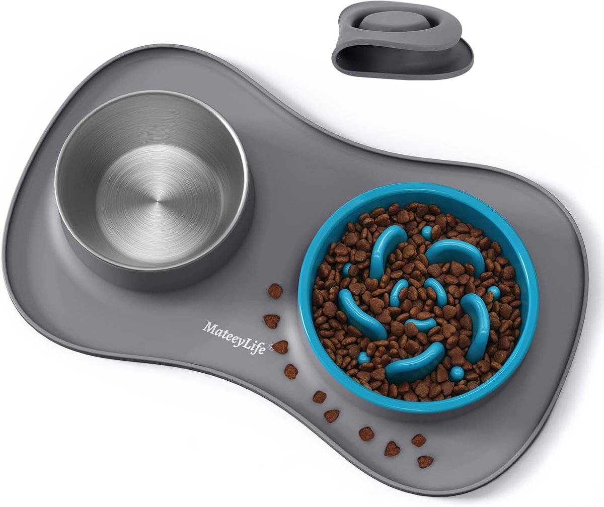 Honden Voerbak - Drinkbak Set - Hygiënisch Eten - Antislip Mat - 26x22x6.5cm - Zwart