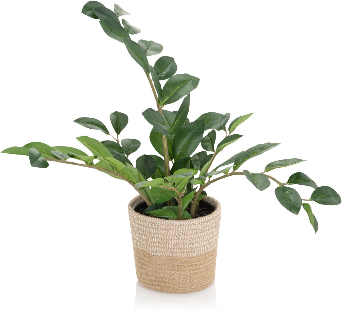 hjh office Kunstplant / kunstboom GLÜCKSFEDER Zamioculcas groen hjh OFFICE