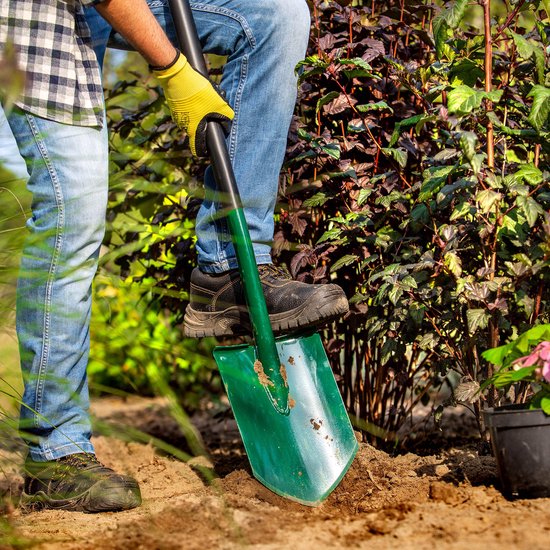 KADAX Spade, tuinspade om te graven, tuinschep met ergonomische steel, schep van metaal, grafschep voor tuin, schip, tuinspade, grafschep (punt, D-greep) van Merkloos	 — afbeelding 3