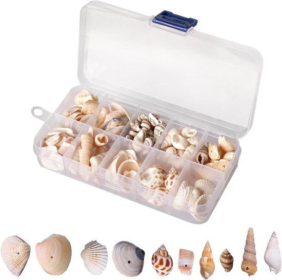 ShiJiuYou 500 g natuurlijke decoratieve schelpen voor doe-het-zelf en mariene decoratie, 2-8 cm, meerkleurig ShiJiuYou 500 g natuurlijke decoratieve schelpen voor doe-het-zelf en mariene decoratie, 2-8 cm, meerkleurig