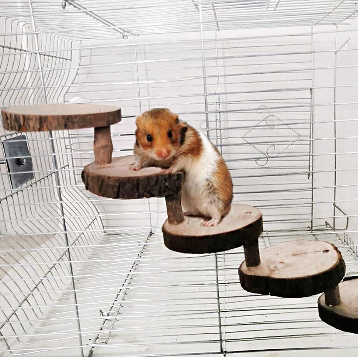 Trixie Hangmat voor hamsters, muizen en ratten online kopen