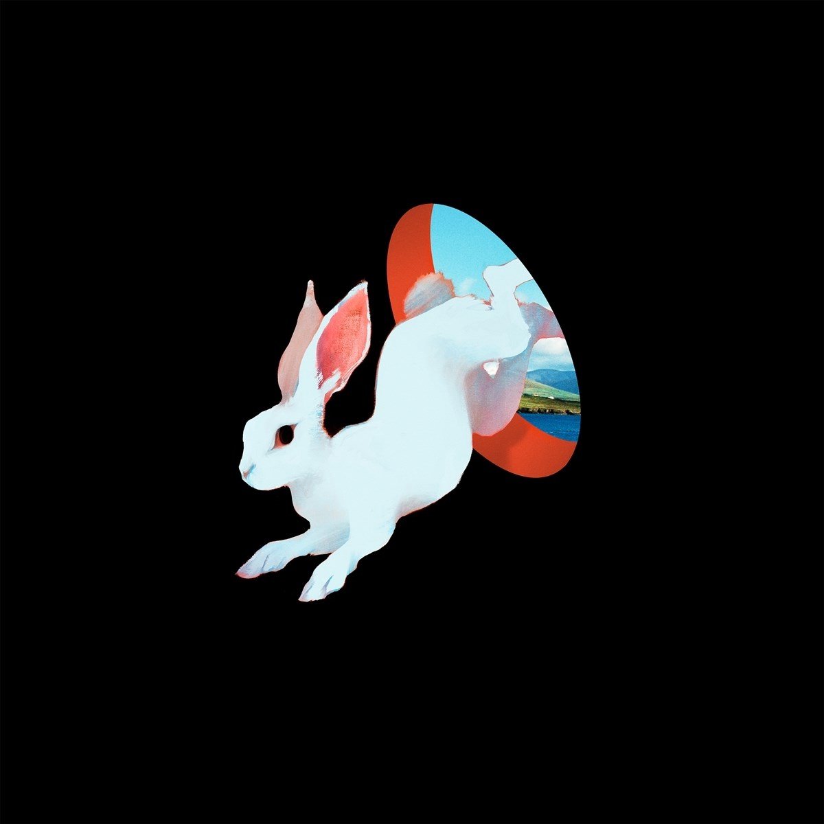 Ganser - Animal Hospital (LP) (Coloured Vinyl)