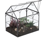 planten terrarium - 25 x 24 x 18 cm - glas - vensterbank - zwart