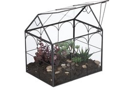 planten terrarium - 25 x 24 x 18 cm - glas - vensterbank - zwart