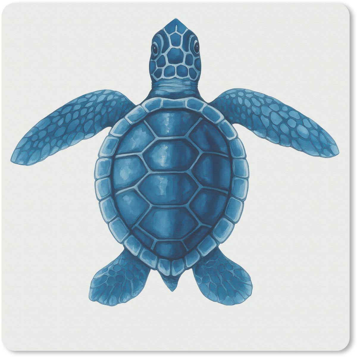 Muismat 30x30 cm - Mousepad Schildpad - Blauw - Schild - Muismatten
