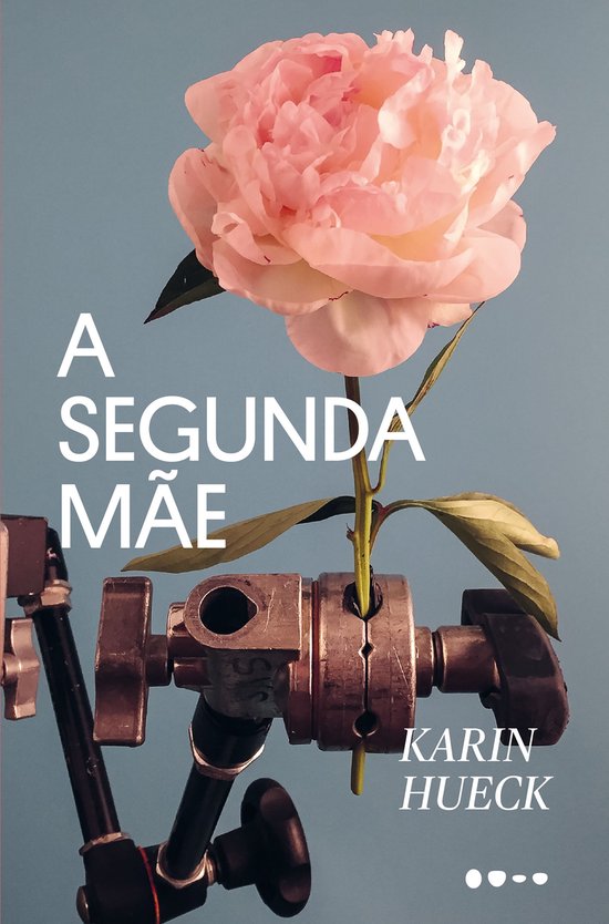 A segunda mãe - cover