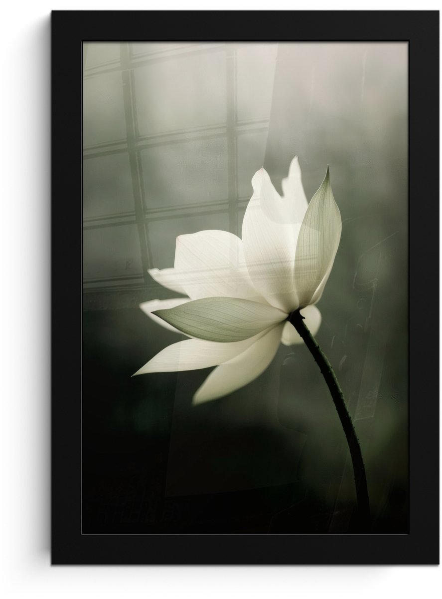 FrameYourWall Poster in lijst - Fotolijst 20x30 cm - Posters - Wit - Lotus - Donker - Bloem - Posterlijst zwart - Decoratie - Wanddecoratie woonkamer - Muurdecoratie slaapkamer Lotus - Bloem