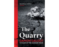 Omslag van The Quarry