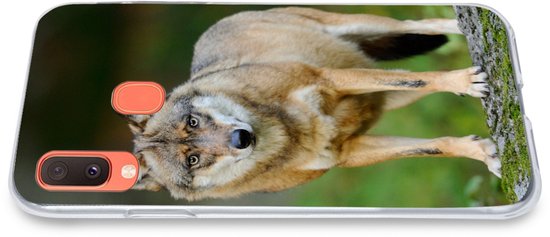 Coque Samsung Galaxy A20e - Loup - Asie - Plantes - Coque de téléphone en Siliconen
