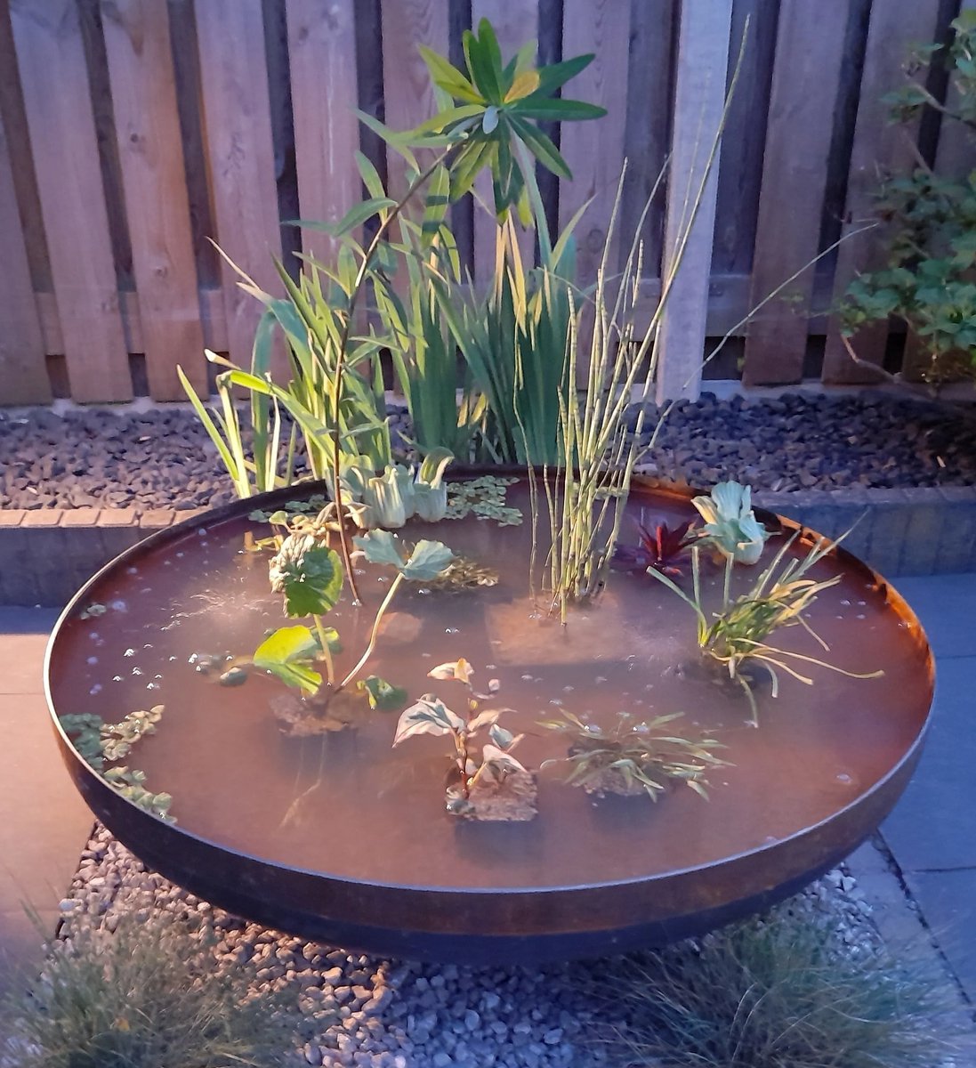 Waterschaal cortenstaal - 120 cm