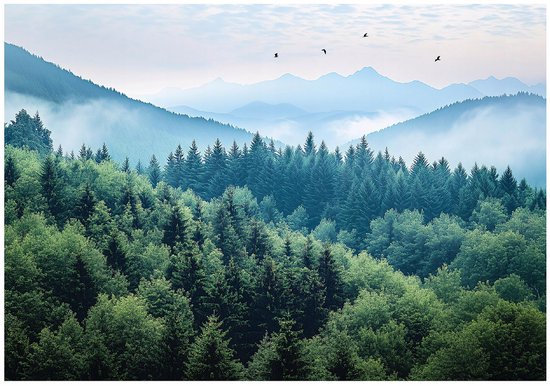 WALLARENA - Fotobehang - 250x175 cm - 3D bergen, bos, mist, natuur, slaapkamer, woonkamer, vliesbehang