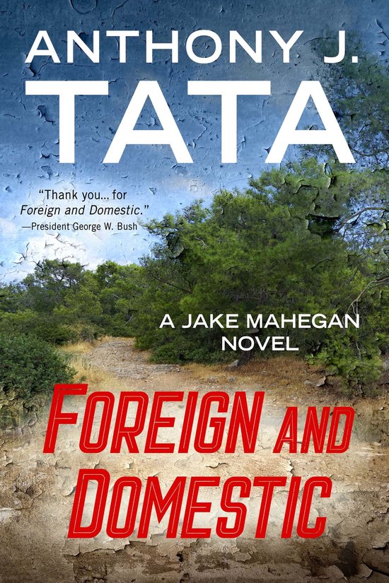 A Jake Mahegan Thriller 1 - Foreign and Domestic - cover
