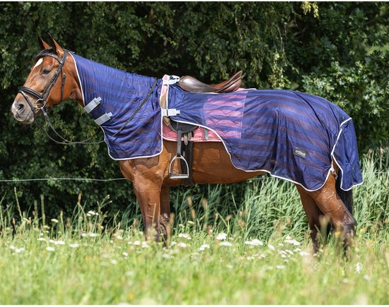 Bruin paard in een wei, draagt een donkerblauwe, gestreepte vliegendeken met halsstuk en zadel.