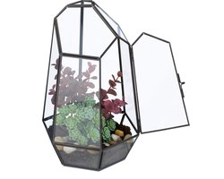 planten terrarium - 26x18x15 cm - glas - vensterbank - zwart